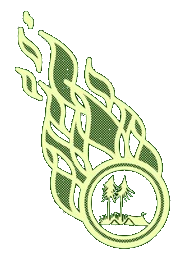 Forest School Camps Fireball Logo